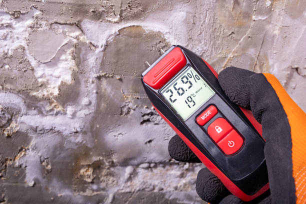 Crawl Space Mold Removal in Le Claire, IA