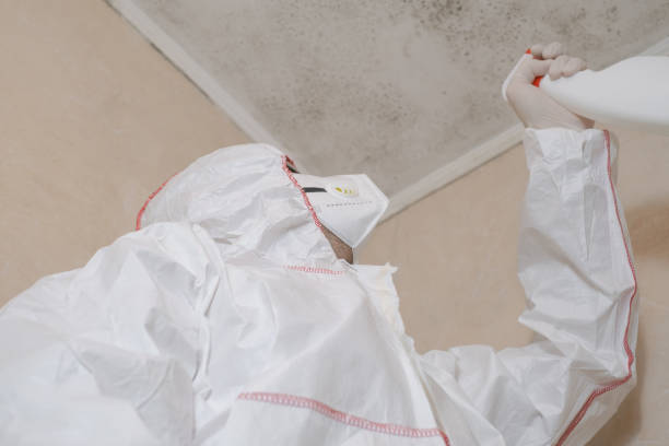 Le Claire, IA Mold Removal Company