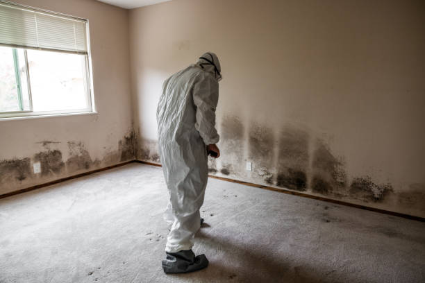 Water Damage Restoration in Le Claire, IA